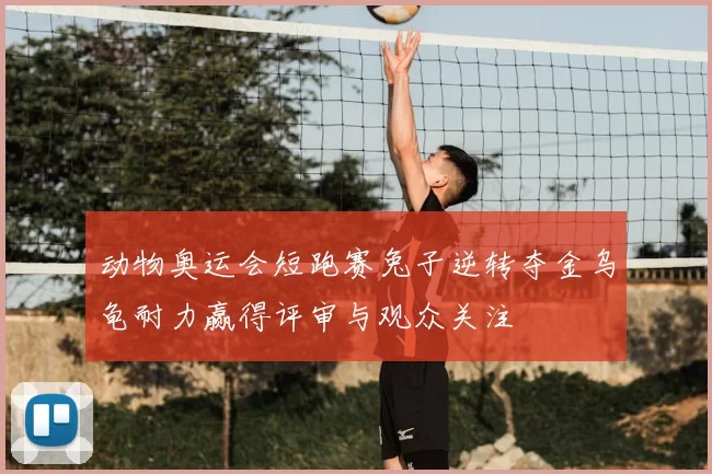 动物奥运会短跑赛兔子逆转夺金乌龟耐力赢得评审与观众关注