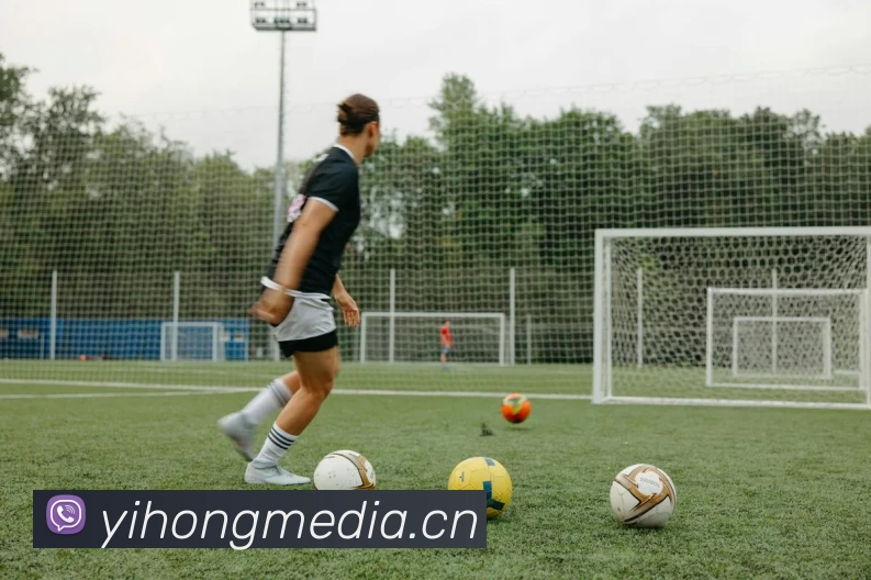 k体育直播官网(官方)登录入口平台生态图